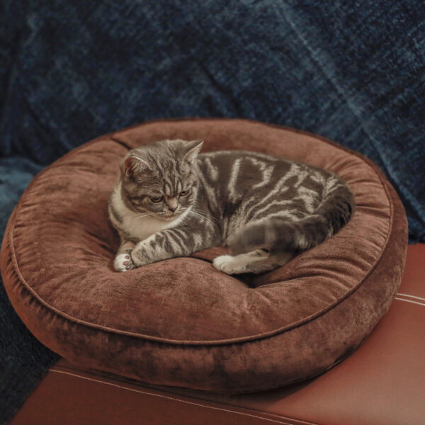 Thickened Futon Pet Cushion For Meditation - Image 5